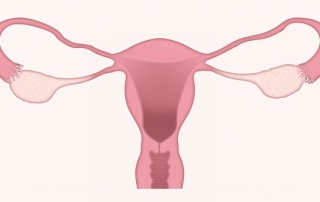 vagina microbdes